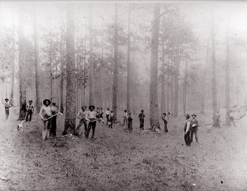 Turpentine Workers in the Round Timber Tract
