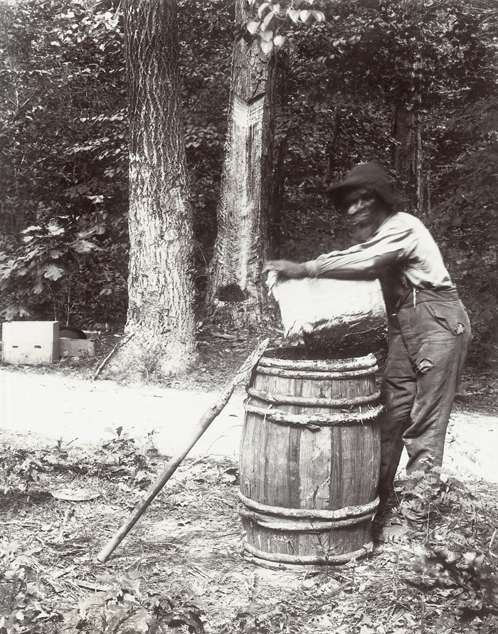 Turpentine Worker in the Round Timber Tract