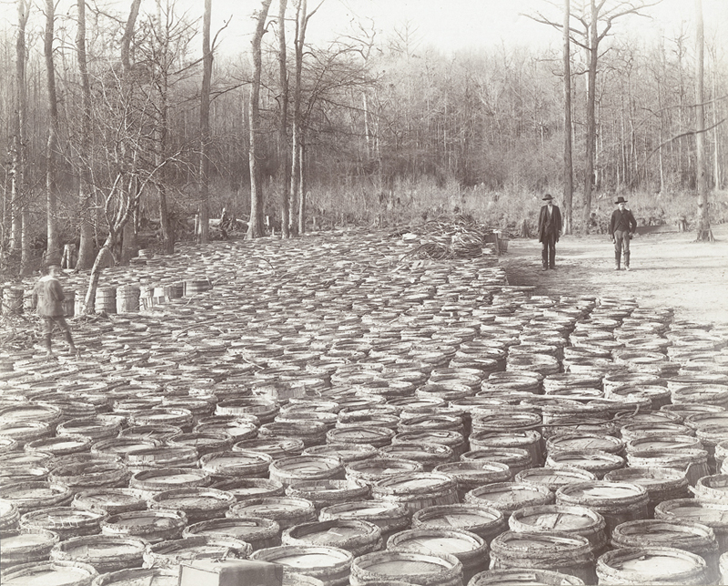Barrels of Turpentine from the Round Timber Tract